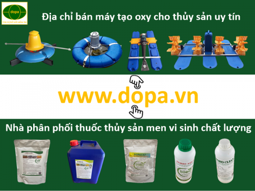 Dopa.vn Công ty cung cấp thuốc thủy sản chế phẩm sinh học máy móc nuôi trồng thủy sản 
